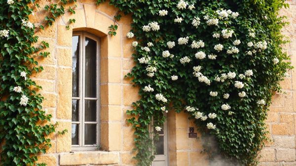 Top conseils pour un ravalement de façade réussi à Vivy